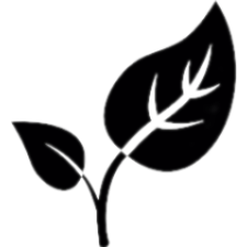 Trà Mix Thảo Mộc